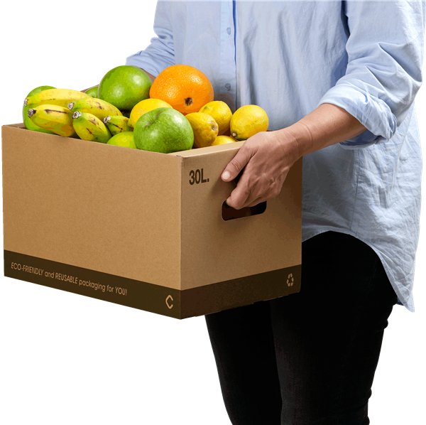 Cajas de cartón convertible en cesta de montaje rápido CarryBox Delivery