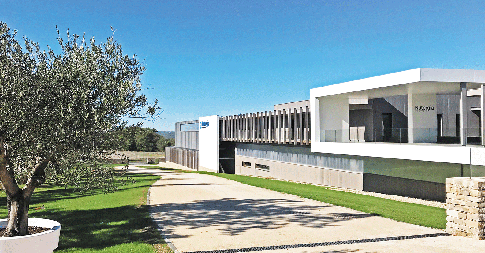 NUTERGIA - banner